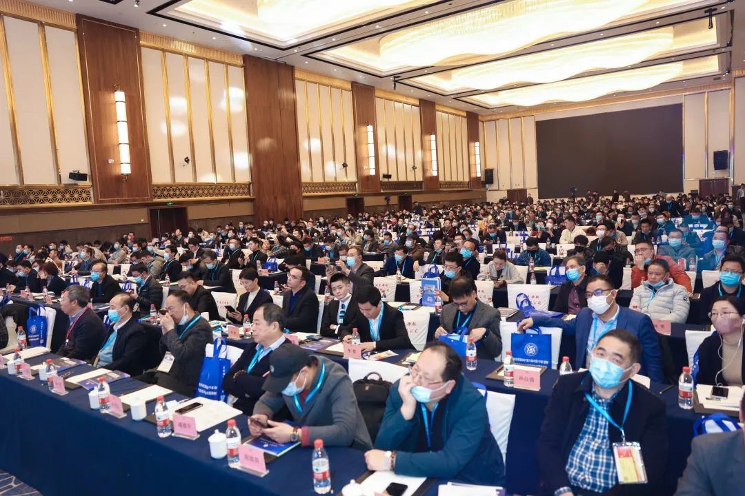 日韩精品亚洲电影天堂