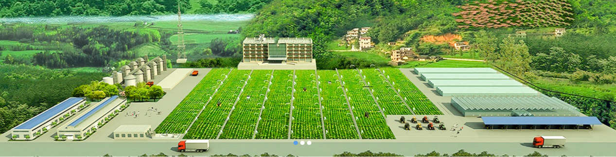 日韩精品亚洲电影天堂